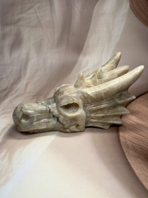 IMG_1617 Cream Moonstone Dragon Head