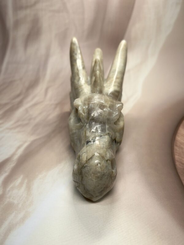 IMG_1621 Cream Moonstone Dragon Head
