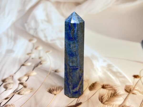 IMG_3576 Lapis Lazuli Tower