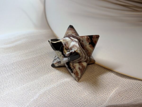 Zebra Jasper Merkaba Star