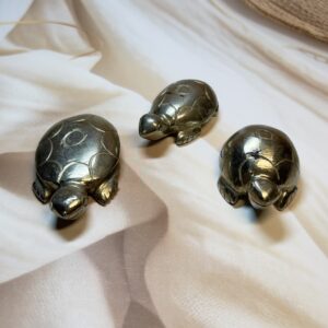 Pyrite Turtle