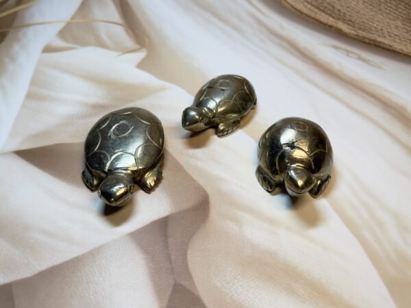 Pyrite Turtle