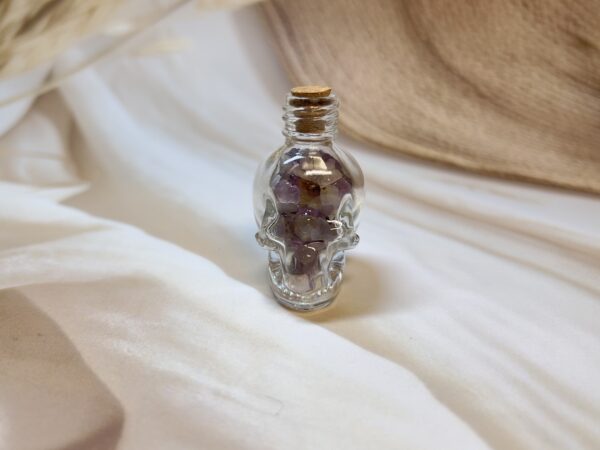 IMG_3693 Amethyst Skull Wish Bottle