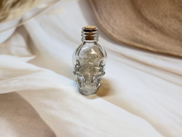 Clear Quartz Skull Wish Bottle