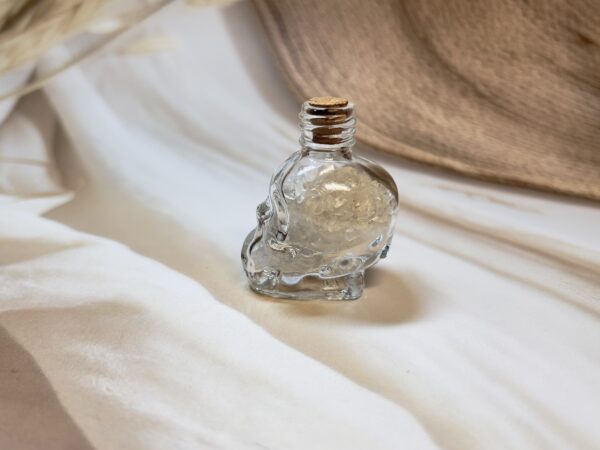 Clear Quartz Skull Wish Bottle