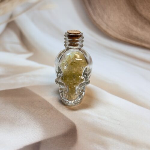 IMG_3699 Citrine Skull Wish Bottle