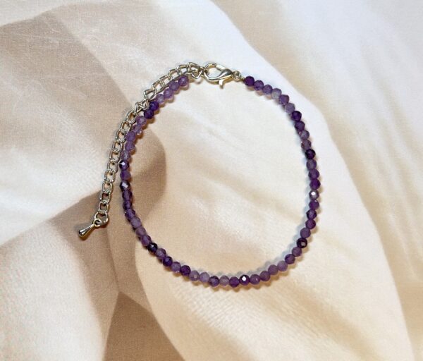 IMG_3720 Amethyst Anklet