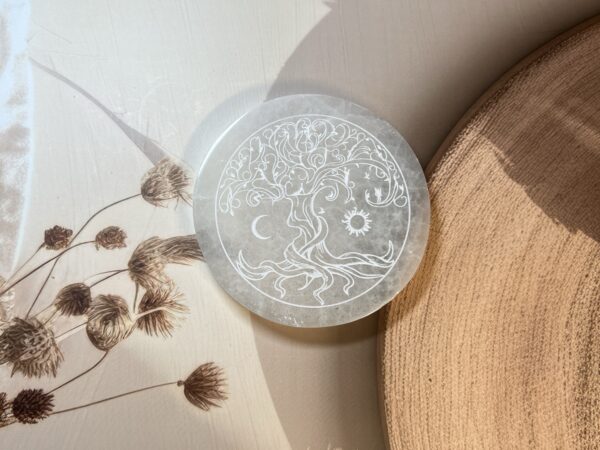 IMG_3789 Selenite Plate (Moroccan)