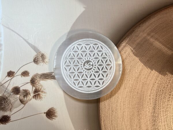 IMG_3793 Selenite Plate (Indian)