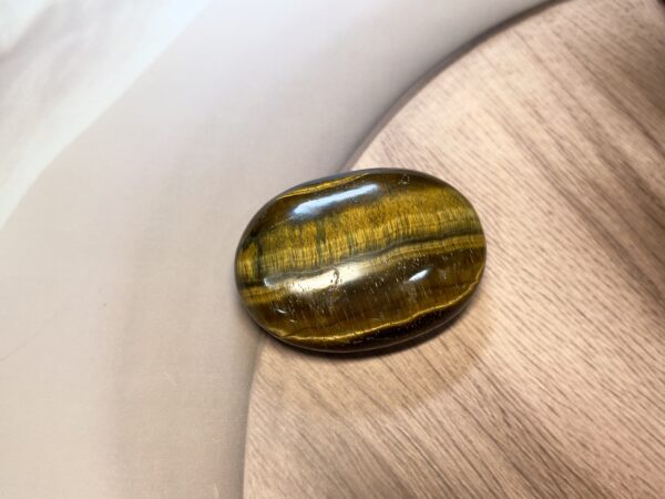 IMG_4193 Tiger Eye Palm Stone
