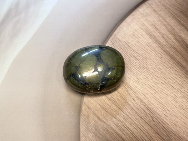 IMG_4211 Indian Pyrite Palm Stone