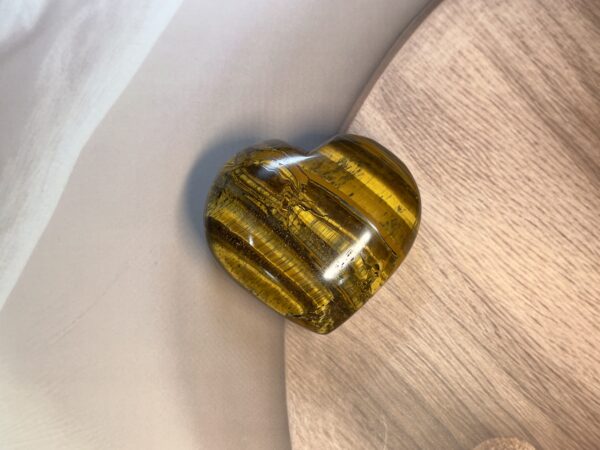 IMG_4228 Tiger Eye Heart