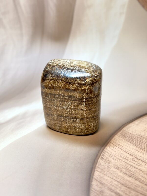 Aragonite Freeform 260 GM
