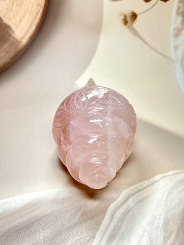 IMG_0051 Rose Quartz Conch/ Shankh