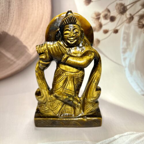 IMG_0055 Tiger Eye Krishna Ji 665 GM