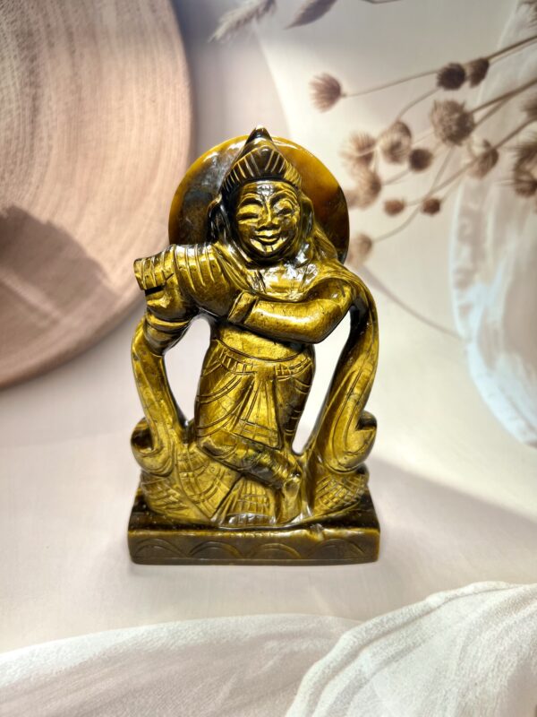Tiger Eye Krishna Ji 665 GM