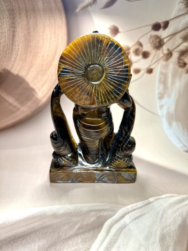 Tiger Eye Krishna Ji 665 GM