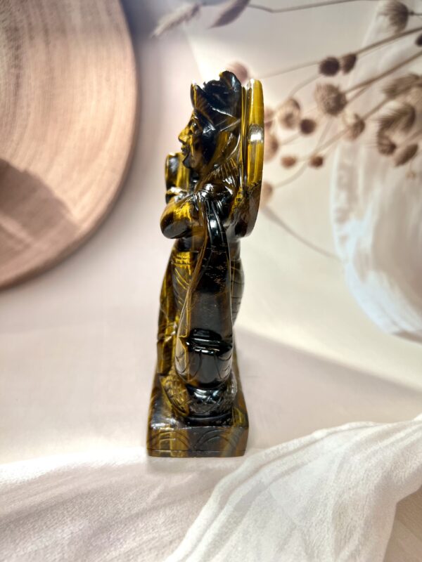 Tiger Eye Krishna Ji 665 GM