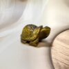 Tiger Eye Turtle
