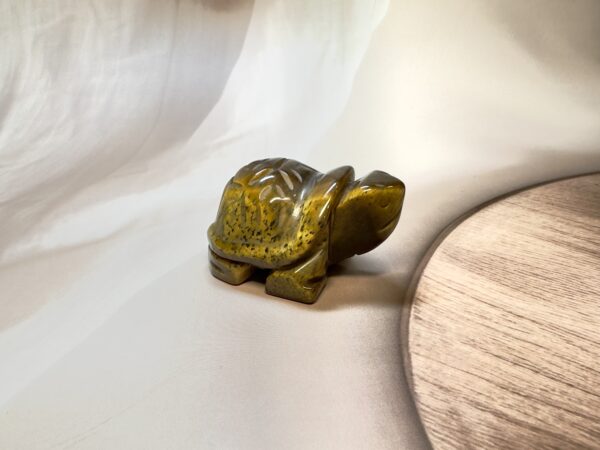 Tiger Eye Turtle