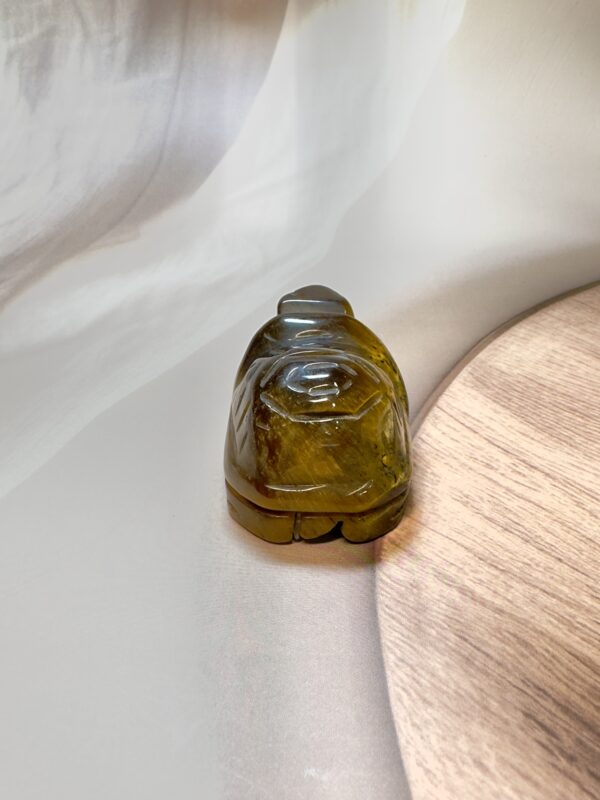Tiger Eye Turtle