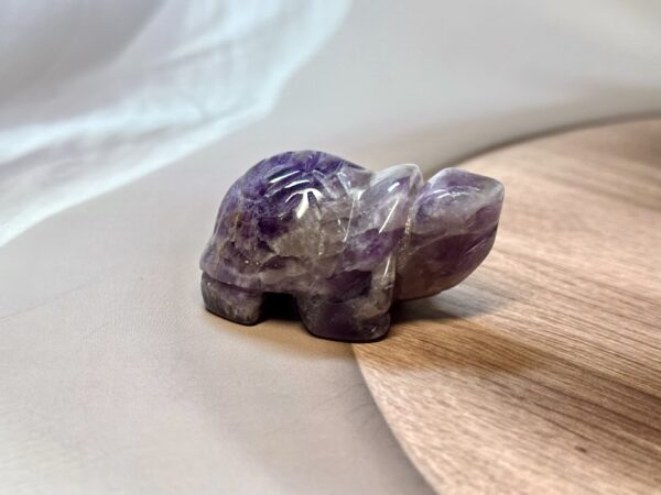 IMG_3950 Amethyst Turtle