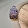 IMG_3951 Amethyst Turtle