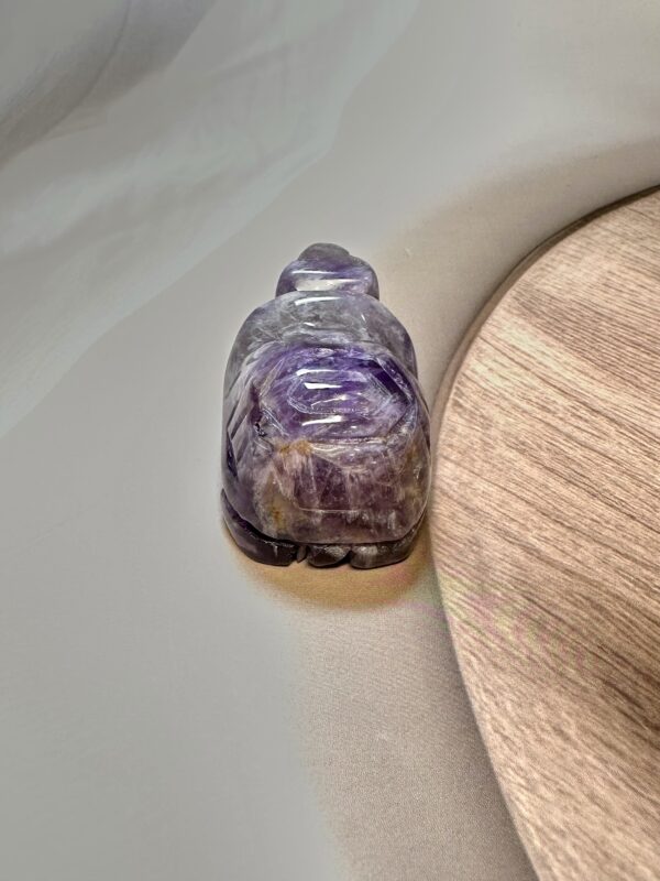 IMG_3951 Amethyst Turtle