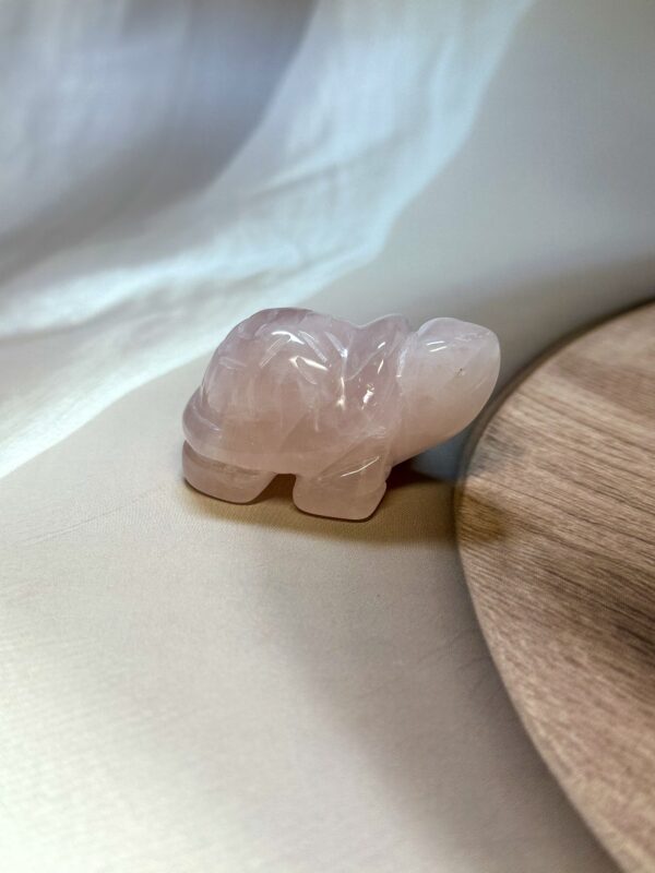 Rose Quartz Turtle
