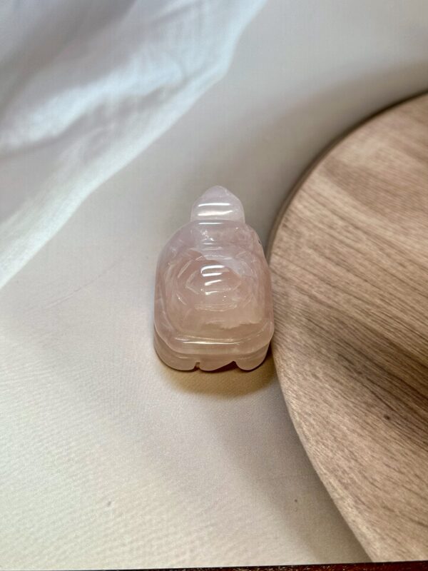 Rose Quartz Turtle