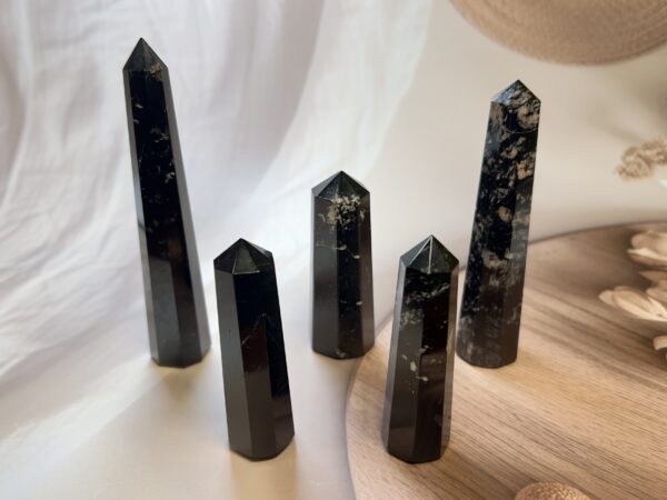 IMG_4255 Black Tourmaline Tower