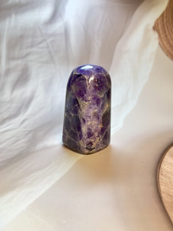 IMG_4353 Amethyst Freeform 293 GM