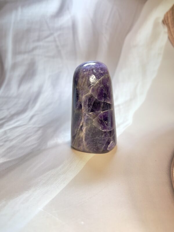 IMG_4355 Amethyst Freeform 293 GM