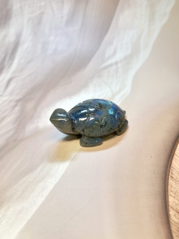 Labradorite Turtle