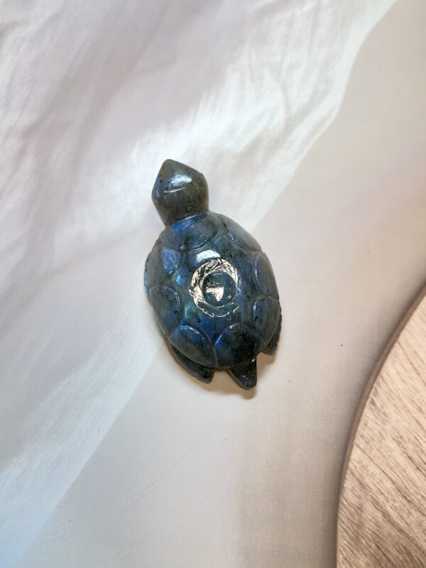 Labradorite Turtle