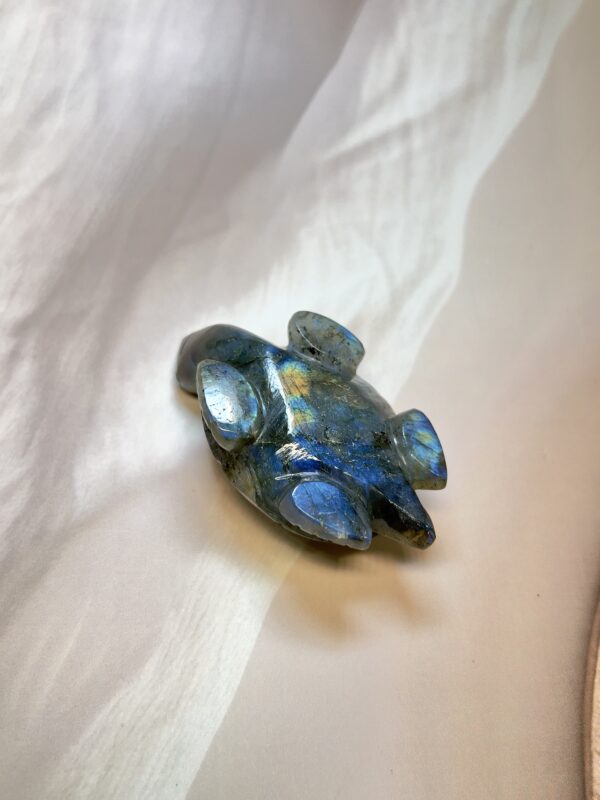 Labradorite Turtle