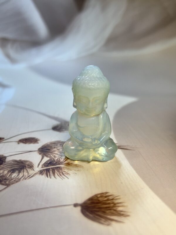 Opal Buddha Ji