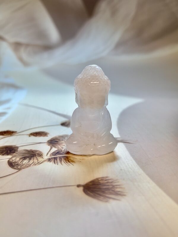 IMG_4496 Rose Quartz Buddha Ji