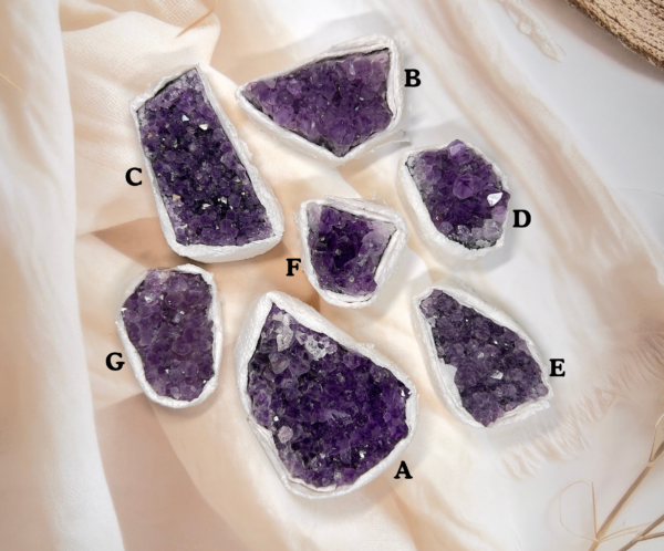 AMETHYST CLUSTER LABELLED Premium Amethyst Cluster