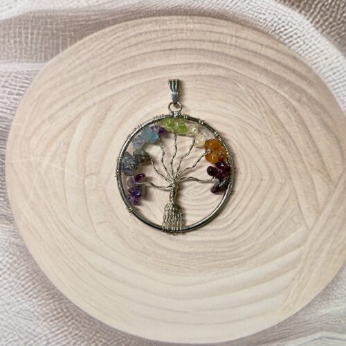 IMG_0324 7 Chakra Tree of Life Pendant