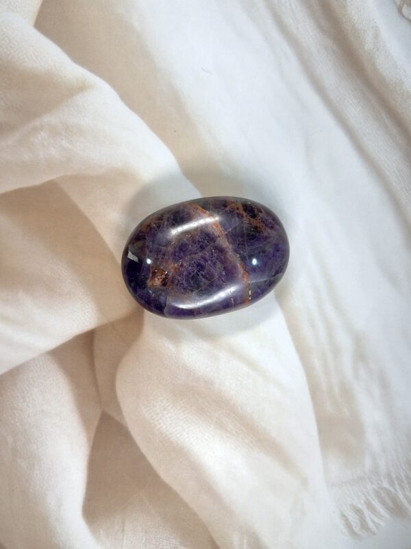 IMG_0359 Amethyst Palm Stone 110 GM