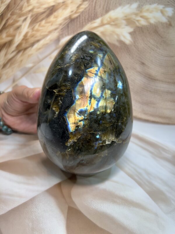 Exclusive Labradorite Egg 2.696 KG