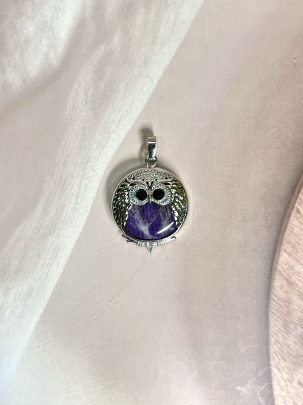 IMG_0449 Amethyst Round Owl Pendant