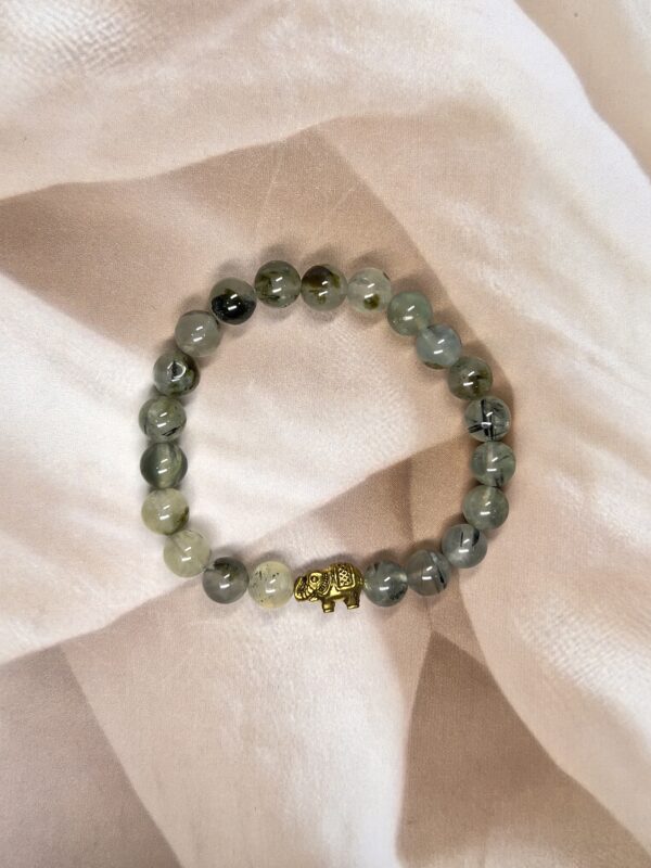 Prehnite Bracelet | 7 Inch | 8MM