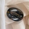 Petrified Wood Palm Stone 152 GM