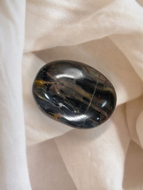 Petrified Wood Palm Stone 152 GM