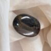 Petrified Wood Palm Stone 152 GM
