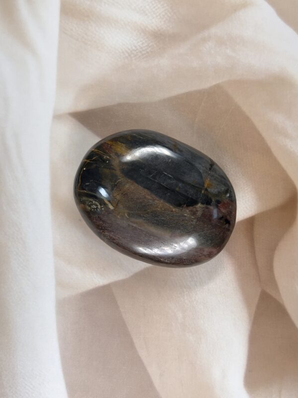 Petrified Wood Palm Stone 152 GM