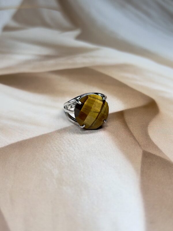 IMG_1371 Tiger Eye Round Ring | German Silver