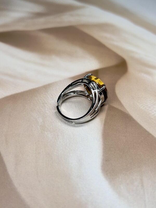 IMG_1372 Tiger Eye Round Ring | German Silver